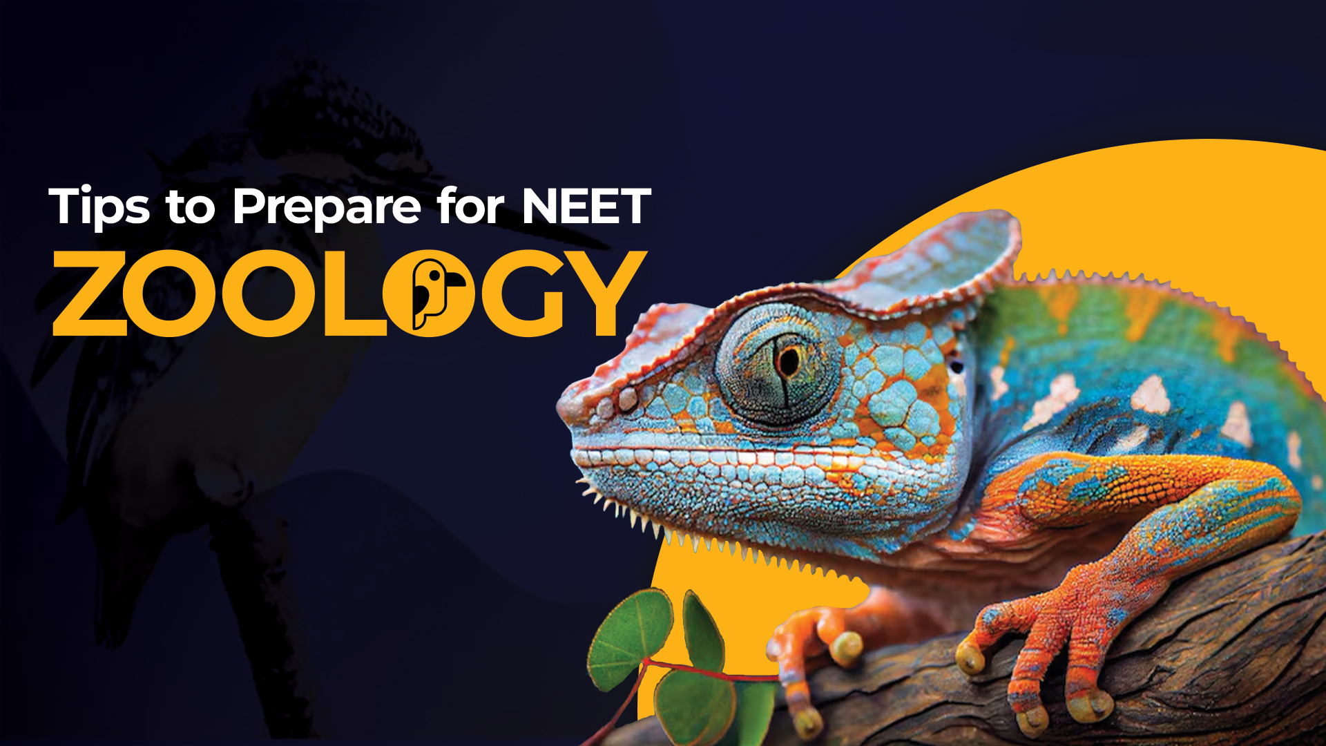 NEET Zoology
